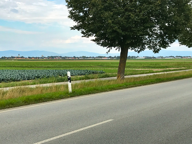 der Bayerische Wald im Hintergrung